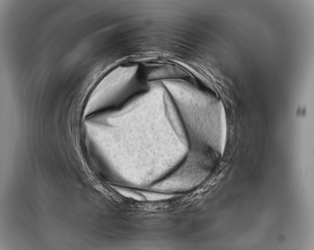 X0000099990241200806131441