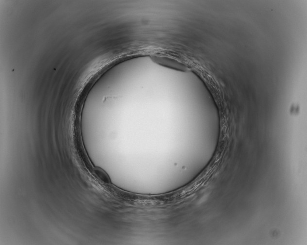 X0000099990242200806131441