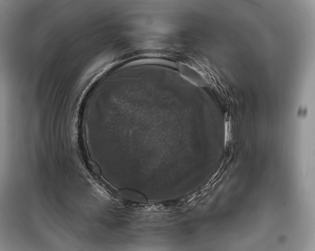 X0000099990243200806131441