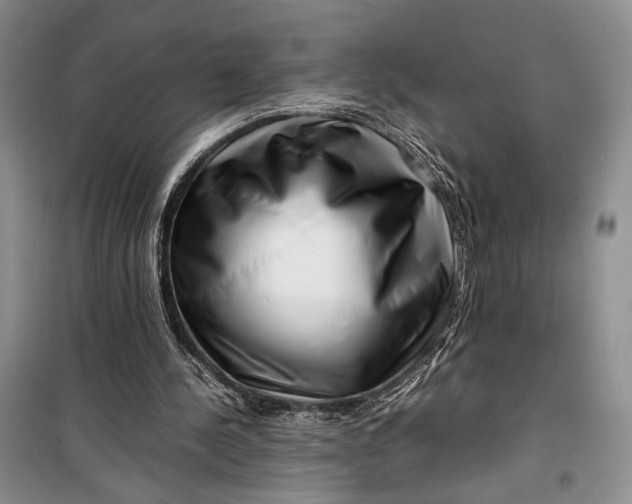 X0000099990244200806131441