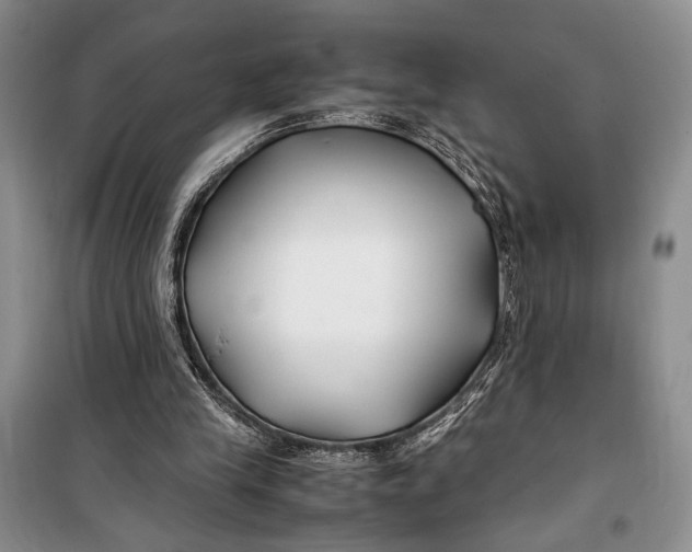 X0000099990245200806131441