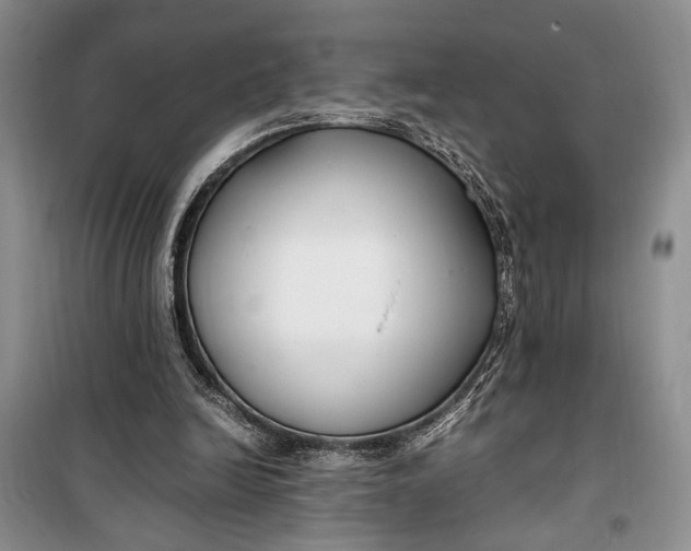 X0000099990246200806131441