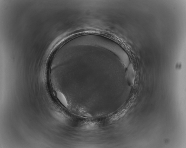 X0000099990247200806131441