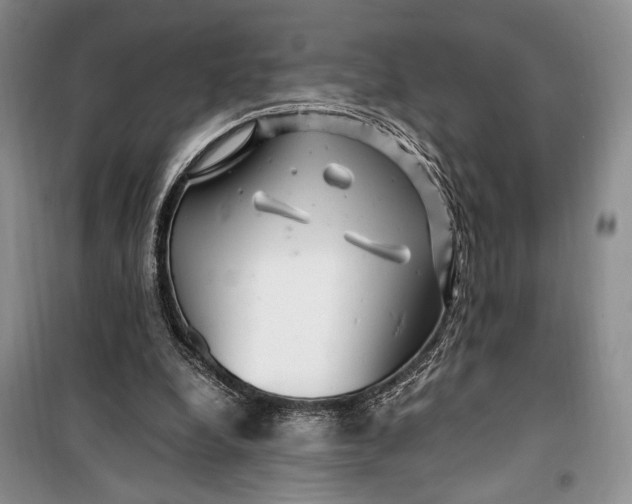 X0000099990248200806131441