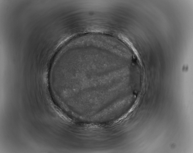 X0000099990249200806131441