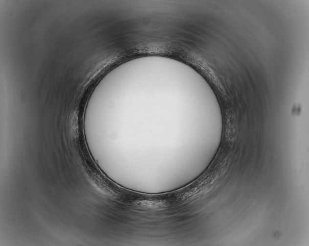 X0000099990251200806131441