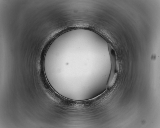 X0000099990252200806131441