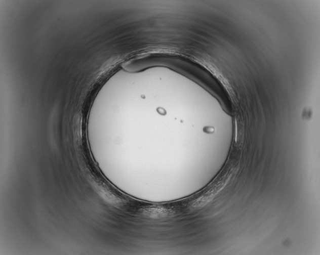 X0000099990253200806131441