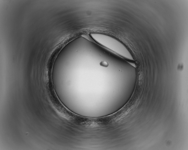 X0000099990254200806131441