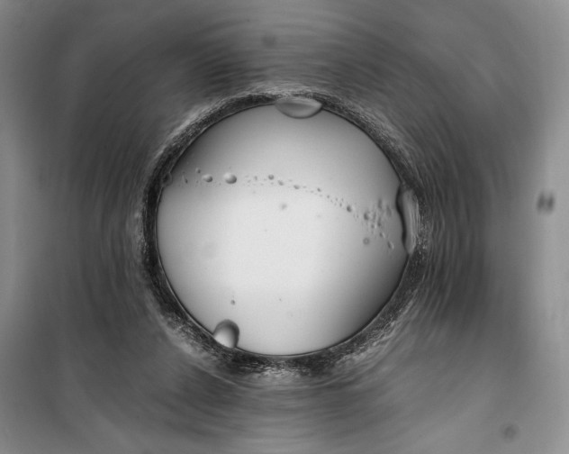 X0000099990256200806131441