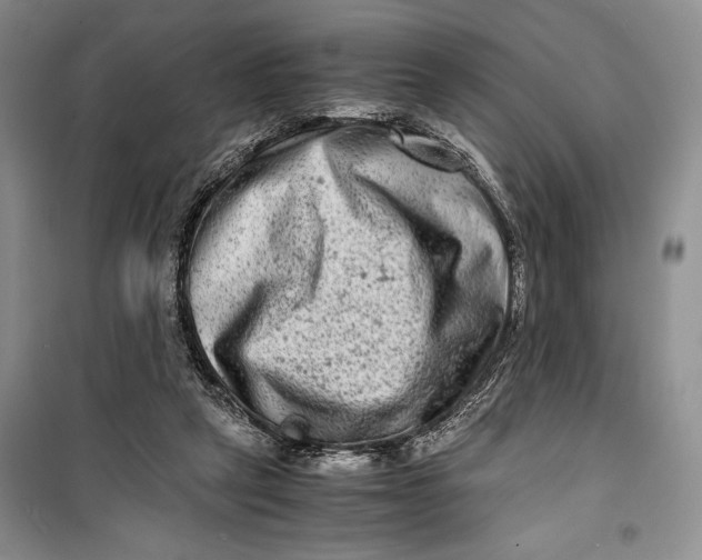 X0000099990257200806131441