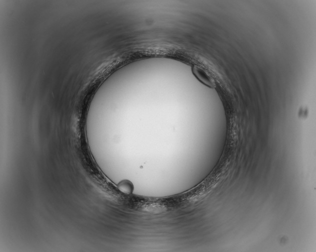 X0000099990258200806131441