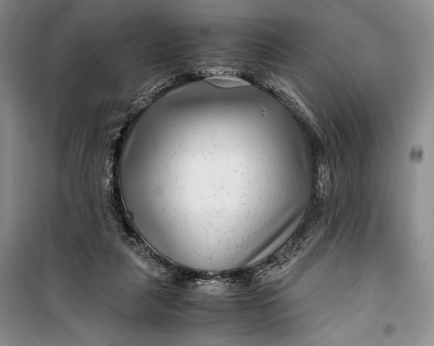 X0000099990259200806131441