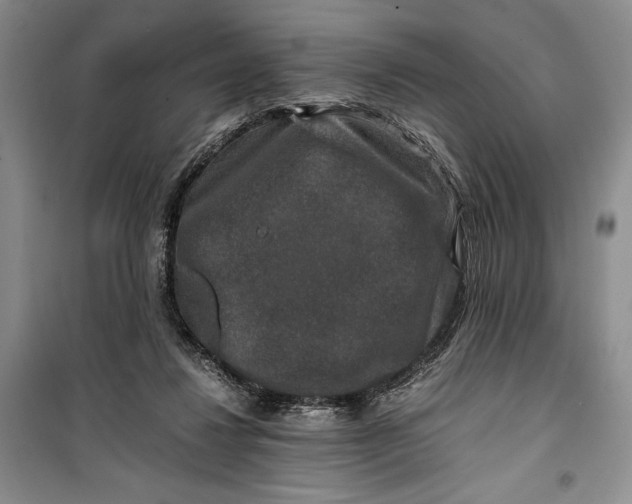 X0000099990260200806131441