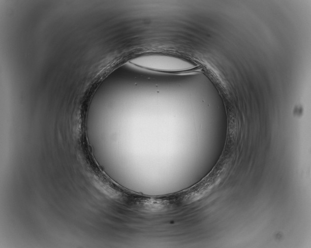 X0000099990261200806131441