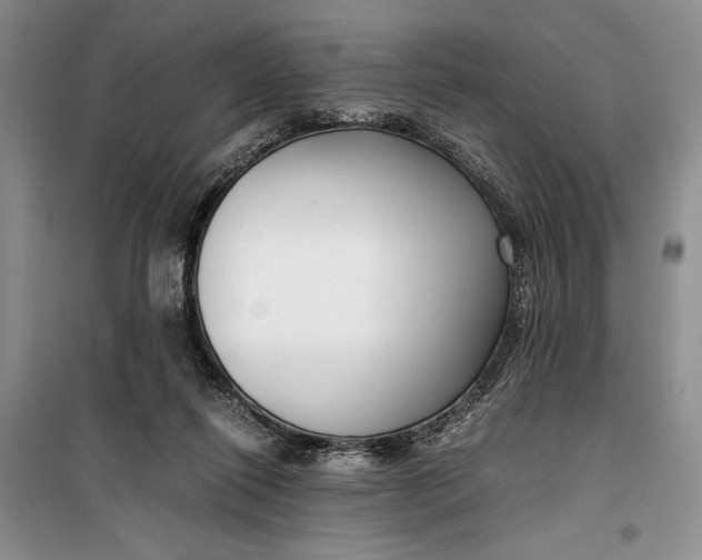 X0000099990262200806131441