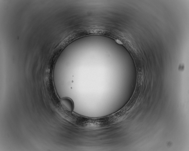 X0000099990263200806131441