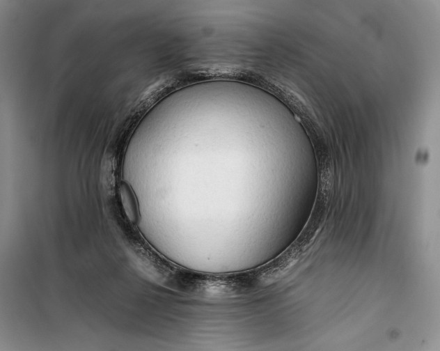 X0000099990264200806131441