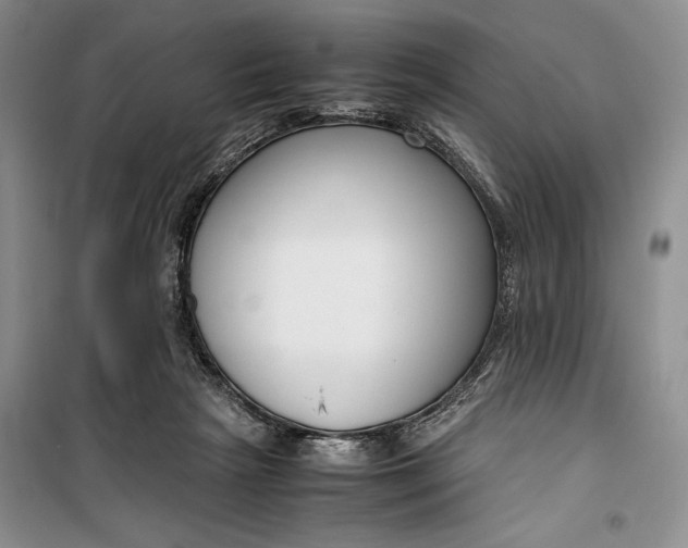 X0000099990265200806131441