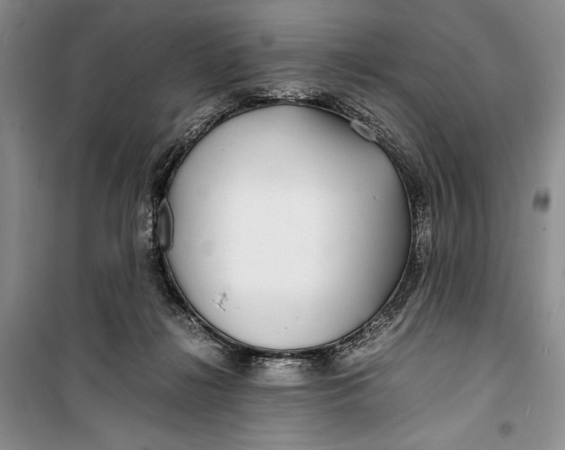 X0000099990268200806131441