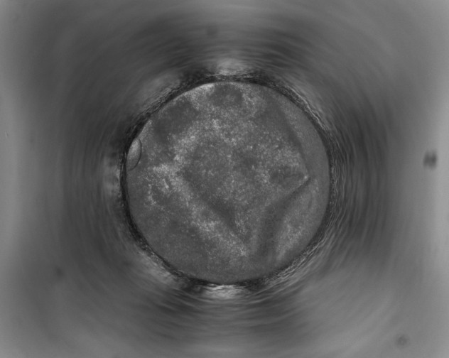 X0000099990269200806131441