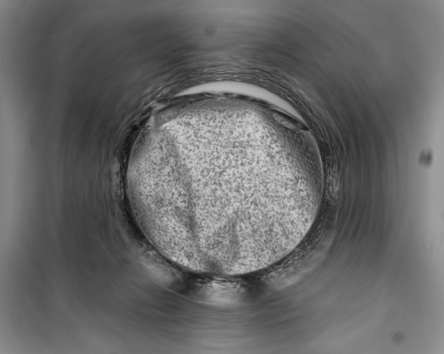 X0000099990270200806131441