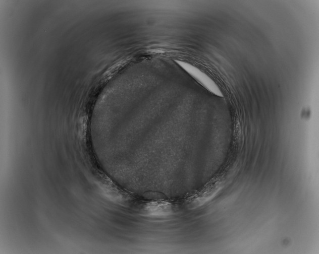 X0000099990271200806131441