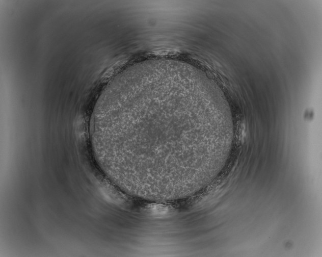 X0000099990272200806131441