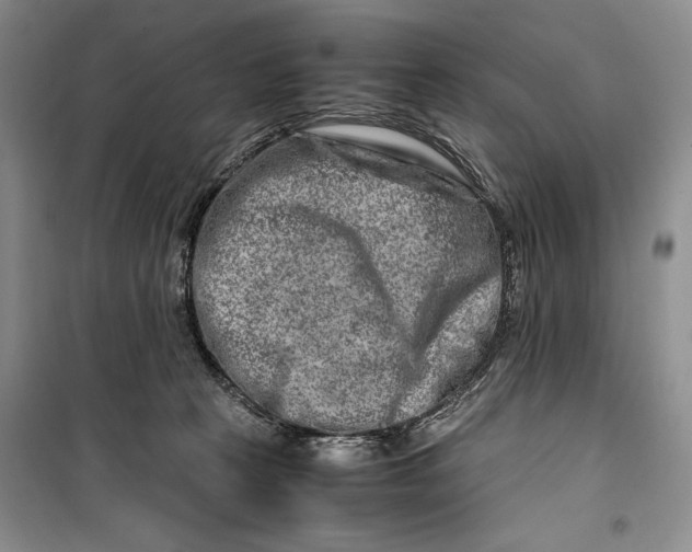 X0000099990273200806131441