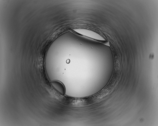 X0000099990274200806131441