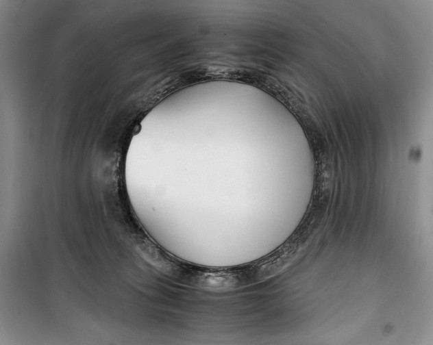 X0000099990275200806131441