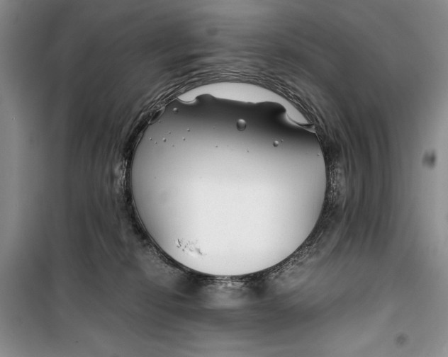 X0000099990278200806131441