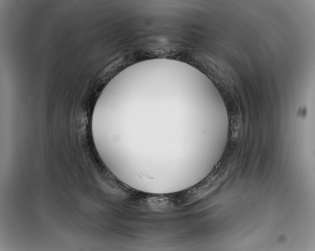 X0000099990279200806131441