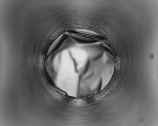 X0000099990280200806131441