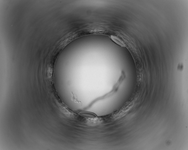 X0000099990281200806131441