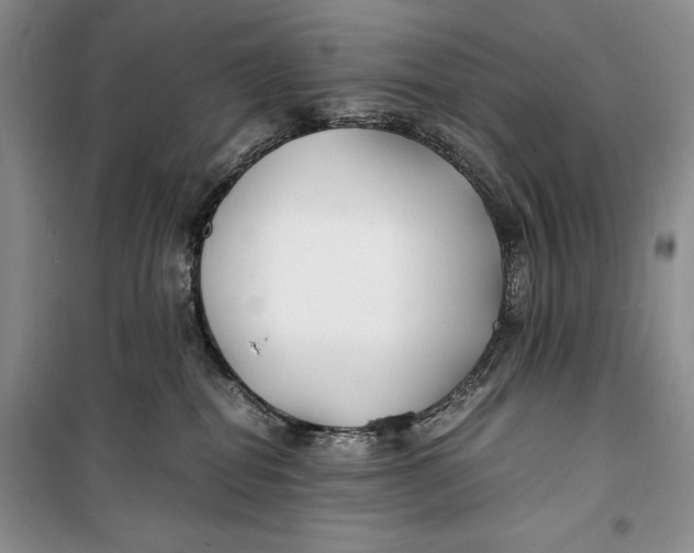 X0000099990282200806131441