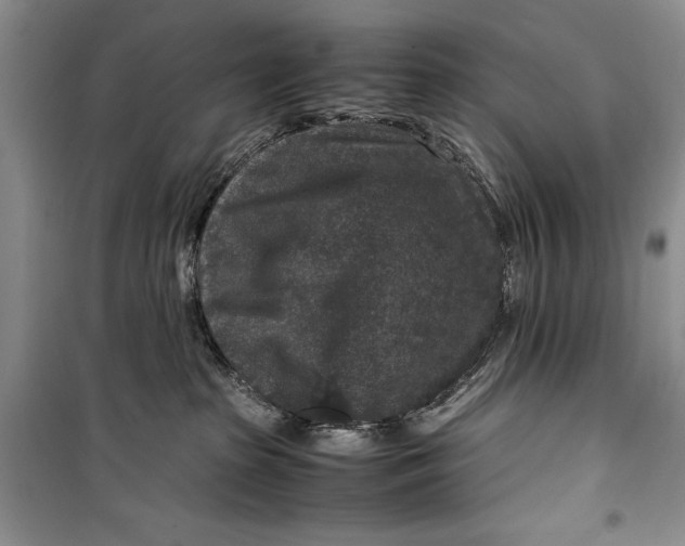 X0000099990285200806131441