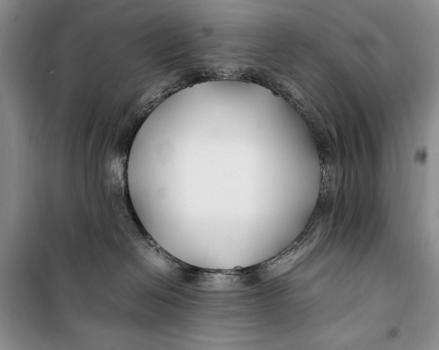 X0000099990286200806131442