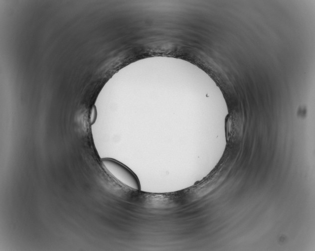 X0000099990287200806131442