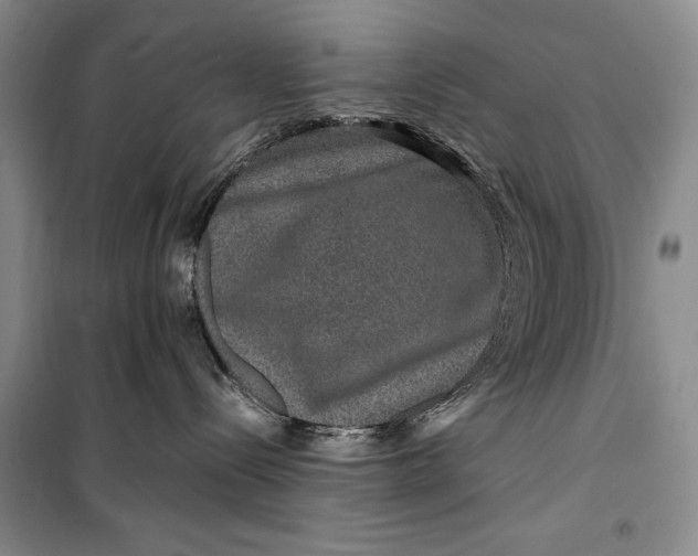 X0000099990288200806131442