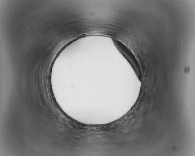 X0000099990289200806131441