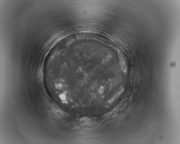 X0000099990290200806131441