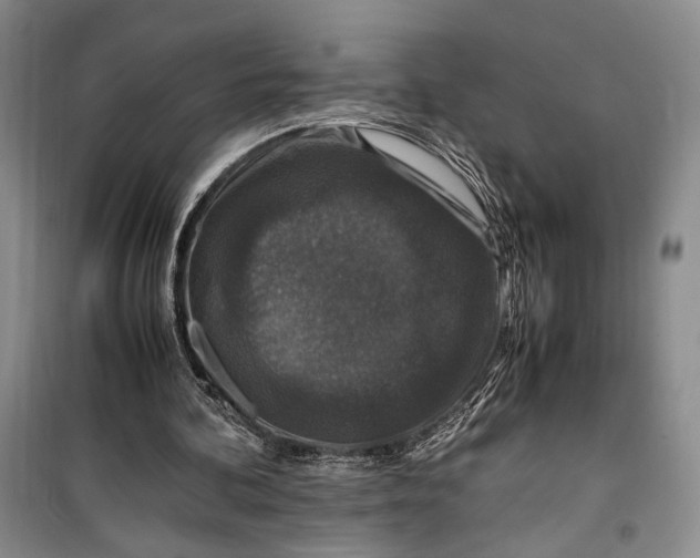 X0000099990292200806131441