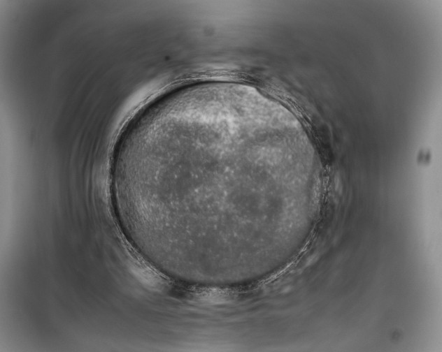 X0000099990293200806131441