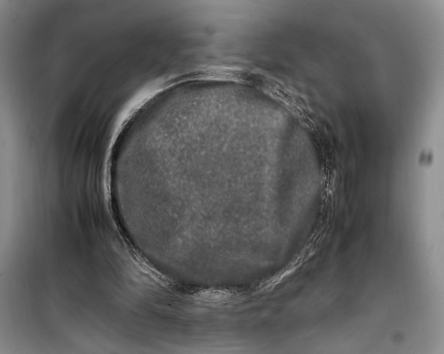 X0000099990294200806131441