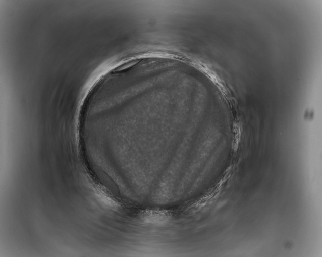 X0000099990296200806131441