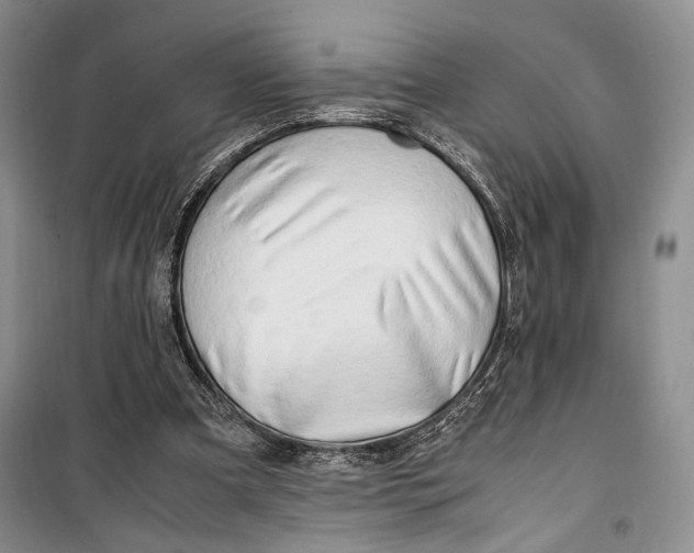 X0000099990297200806131441