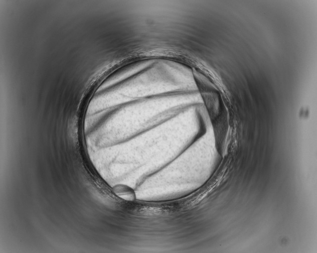 X0000099990298200806131441