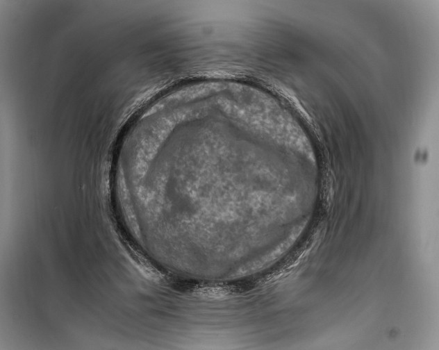 X0000099990299200806131441