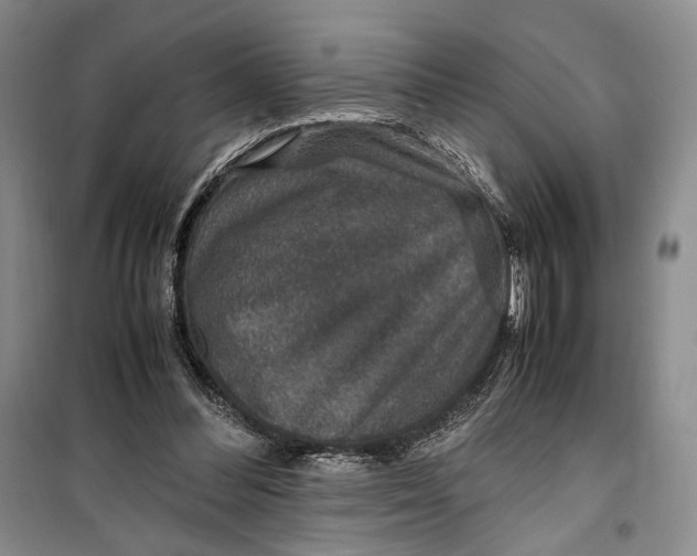 X0000099990300200806131441